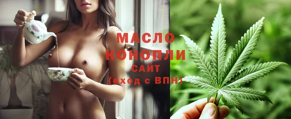 ГАЛЛЮЦИНОГЕННЫЕ ГРИБЫ Новозыбков