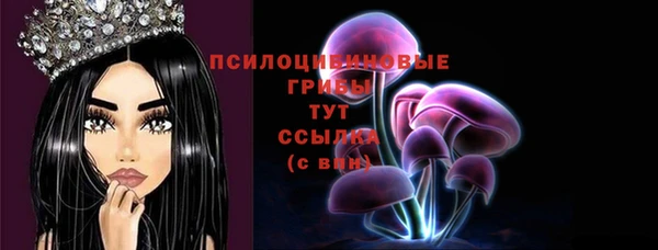 соль ск Нефтегорск