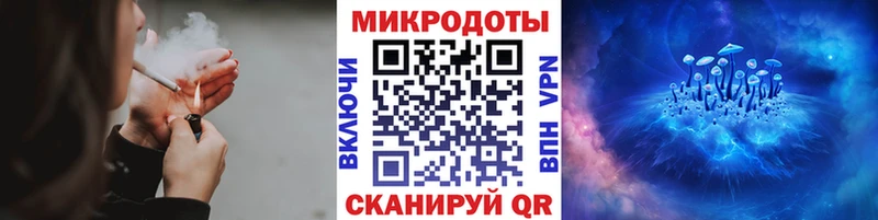наркота  Лабытнанги  Псилоцибиновые грибы Psilocybe 